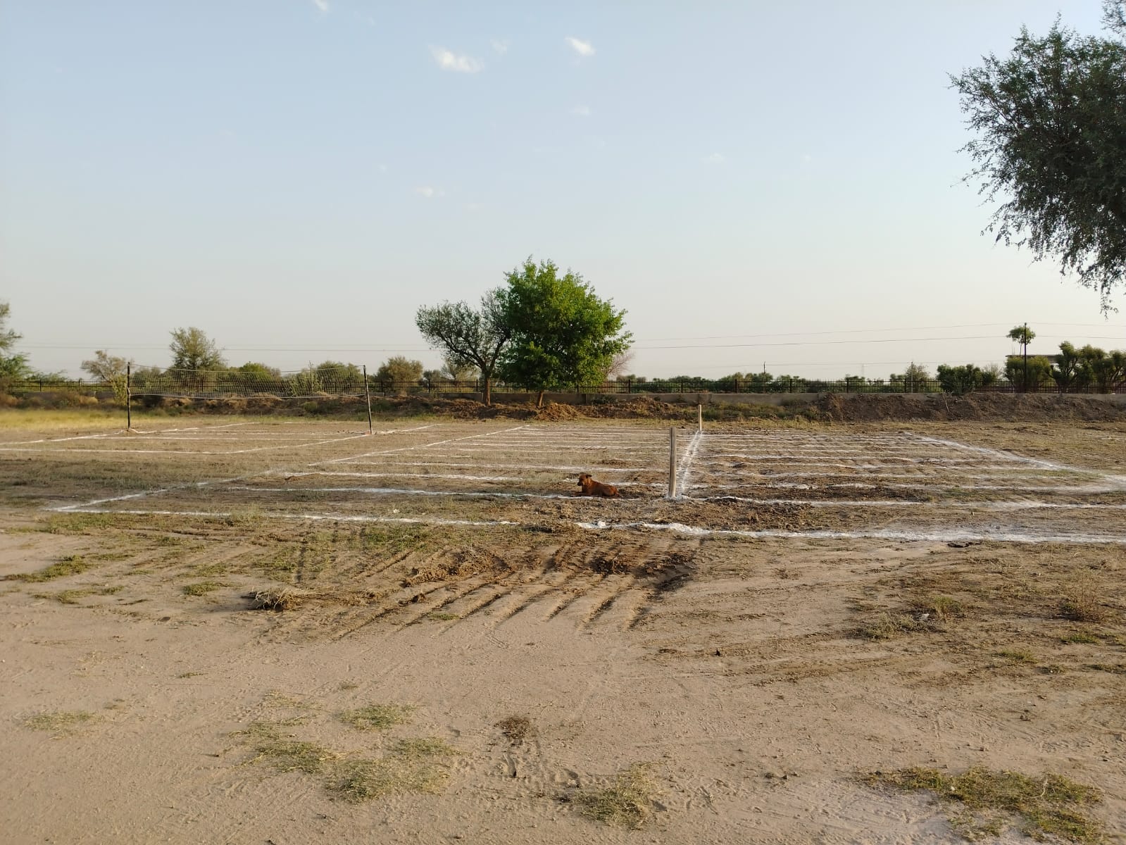 Ground